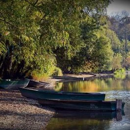 Regia Panzió Halászi - Egyéb