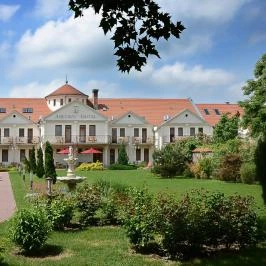Ametiszt Hotel Harkány - Medence/kert