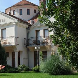 Ametiszt Hotel Harkány - Medence/kert