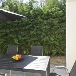 AquaMed Hotel Harkány Harkány - Medence/kert