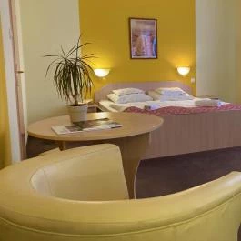 Park Hotel Harkany Harkány - Szobák