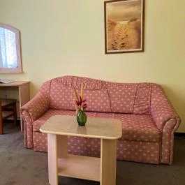 Park Hotel Harkany Harkány - Szobák