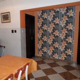 Gabriella Apartman Harkány - Egyéb