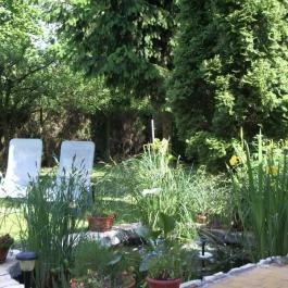 Gabriella Apartman Harkány - Egyéb