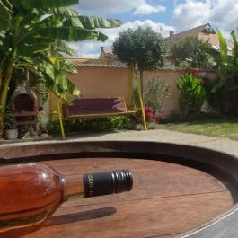 Gere Apartmanház Harkány - Medence/kert