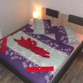 Gere Art Apartman Harkány - Egyéb