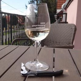 Gere Art Apartman Harkány - Egyéb