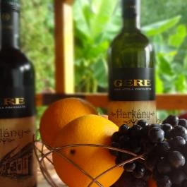 Gere Nyaralóház Harkány - Egyéb