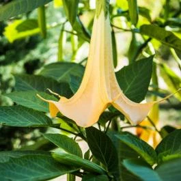 Hotel Harka Harkány - Egyéb