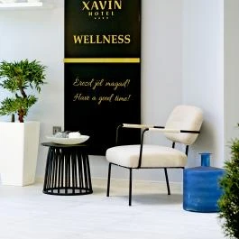 Hotel Xavin Harkány - 