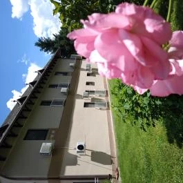 Kokó Panzió Harkány - Medence/kert