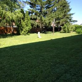 Kokó Panzió Harkány - Medence/kert