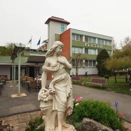 Komfort Hotel Platán Harkány - Egyéb