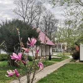 No Stress Panzió Harkány - Medence/kert