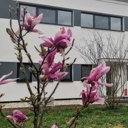 No Stress Panzió Harkány - Külső kép