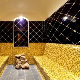 Thermal Hotel Harkány Harkány - Wellness