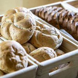 Termál Apartmanok & Kemping Harkány Harkány - Vendéglátás