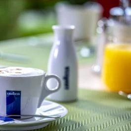 Termál Apartmanok & Kemping Harkány Harkány - Vendéglátás