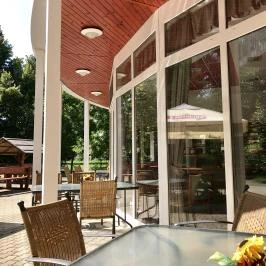 Well Hotel Harkány - Medence/kert