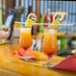 Wellness Hotel Kager Harkány - Vendéglátás