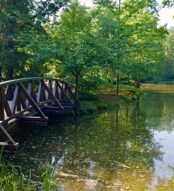 Vácrátóti Arborétum 