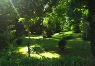 Park Panzió étterme Hédervár