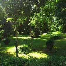 Park Panzió étterme Hédervár - Egyéb