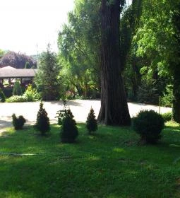 Park Panzió étterme