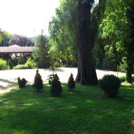 Park Panzió étterme Hédervár - Egyéb