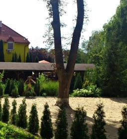 Park Panzió étterme