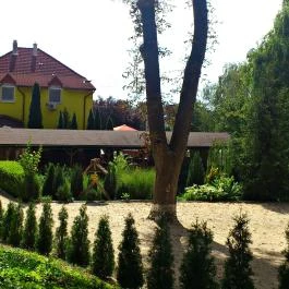 Park Panzió étterme Hédervár - Egyéb