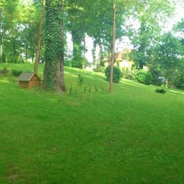 Park Panzió étterme Hédervár - Egyéb