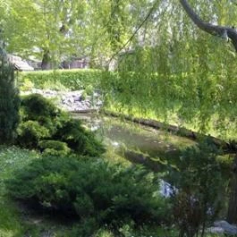 Park Panzió étterme Hédervár - Egyéb