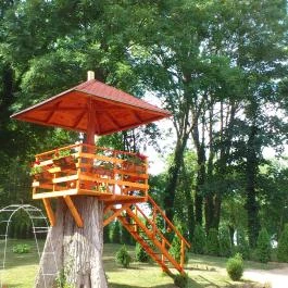 Park Panzió Hédervár - Medence/kert