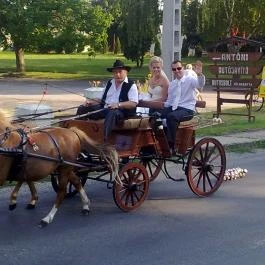 Park Panzió Hédervár - Szórakozás/Sport