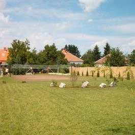 Kelemen Vendégház Hegykő - Medence/kert