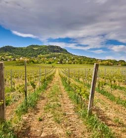 33. legjobb látnivaló: Szent György-hegy