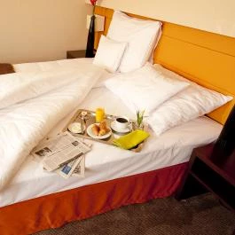 Abacus Business & Wellness Hotel Herceghalom - Szobák