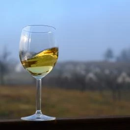 Helén Panzió Hercegkút - Vendéglátás