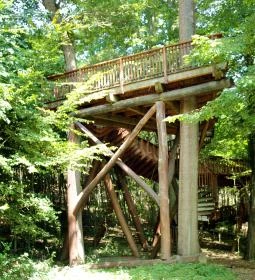 Sás-völgyi lombkorona sétány