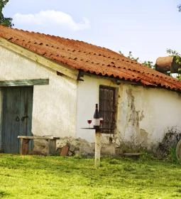 Egregyi borospincék