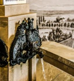 Ivókút - Rózsakert