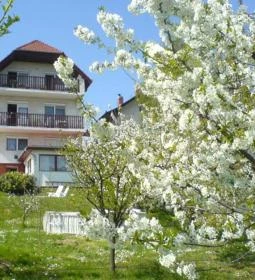 Apartman Berki