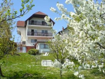 Apartman Berki Hévíz
