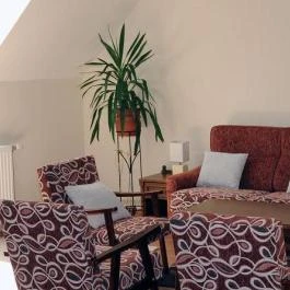 Arany Szőlő Wellness Apartmanház Hévíz - Egyéb