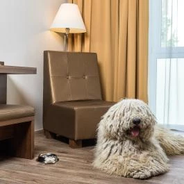 Bonvital Wellness & Gastro Hotel Hévíz Hévíz - Szobák