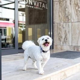 Bonvital Wellness & Gastro Hotel Hévíz Hévíz - Külső kép