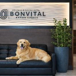 Bonvital Wellness & Gastro Hotel Hévíz Hévíz - Belső
