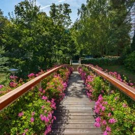 Ensana Thermal Hévíz Hévíz - Medence/kert