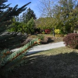 Feng Shui Wellness Apartmanház Hévíz - Medence/kert